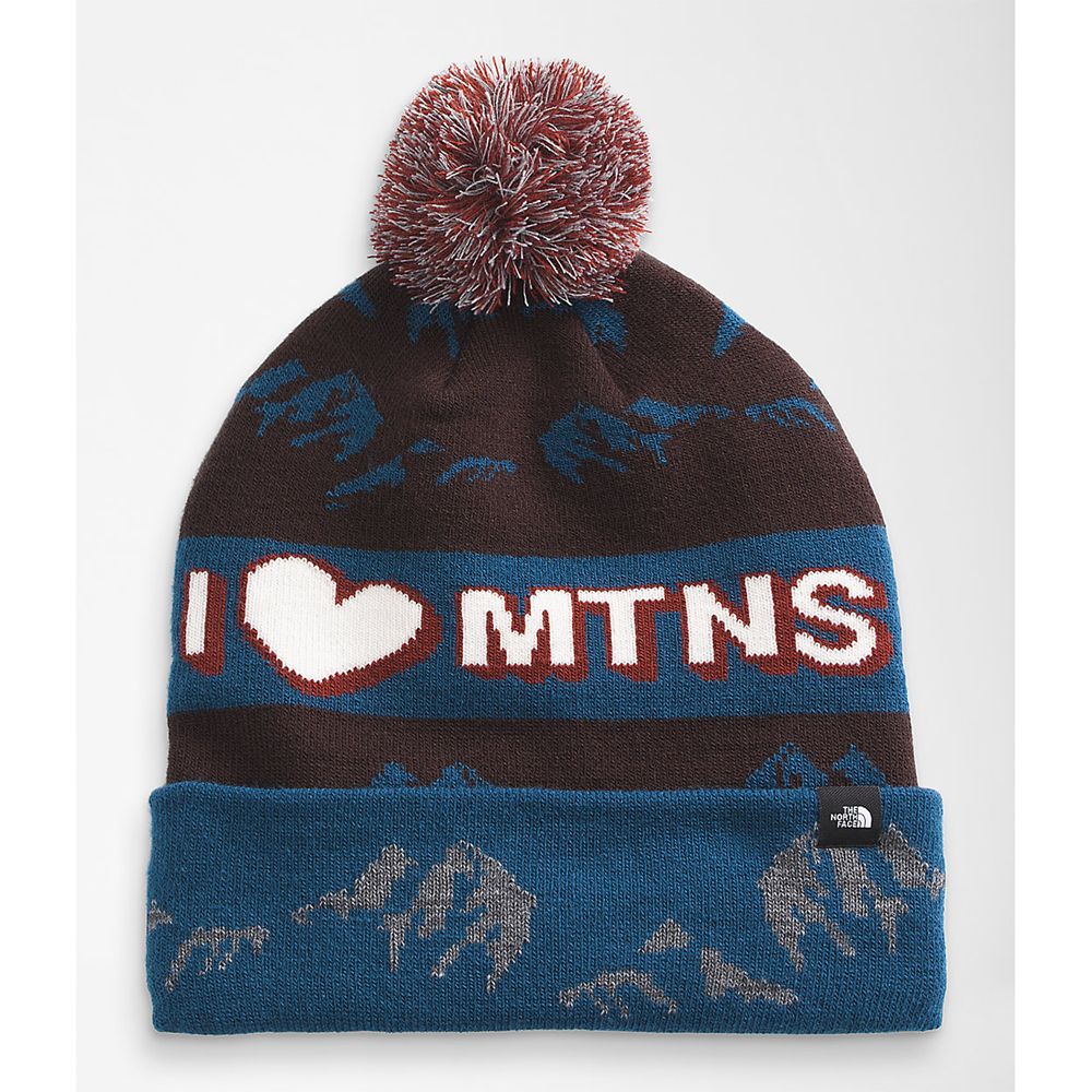 The North Face Beanies Mens Australia - The North Face Ski Tuke Dark Brown Hiking (YFU-253106)